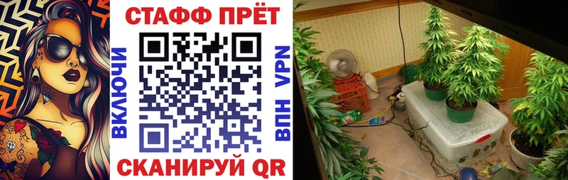 Цена Мурманск Каннабис  Alpha-PVP  МЕФ 