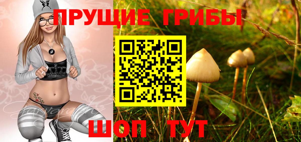 Галлюциногенные грибы Magic Shrooms  Вход с VPN  Галлюциногенные грибы мицелий  Мурманск 