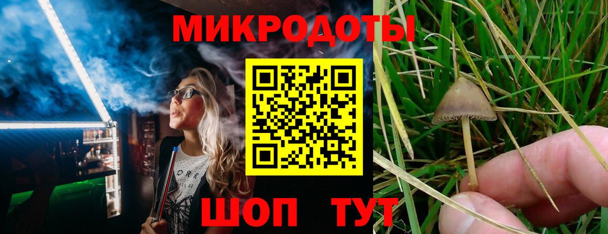 Псилоцибиновые грибы Magic Shrooms Мурманск